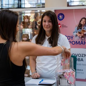 Každý los pomáhá — kapybary